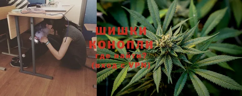 Бошки Шишки SATIVA & INDICA  Краснозаводск 